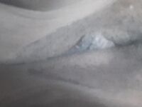 CAPTAGE WHATSAPP NUAGE 2