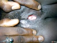 WHATSAPP PATROUILLE 2