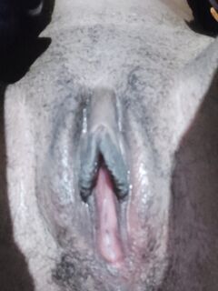 Nudes belle salopes