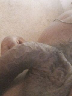 Big dik