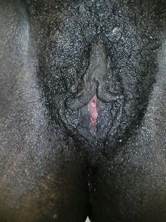 Grosse chatte