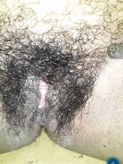 Chatte poilue